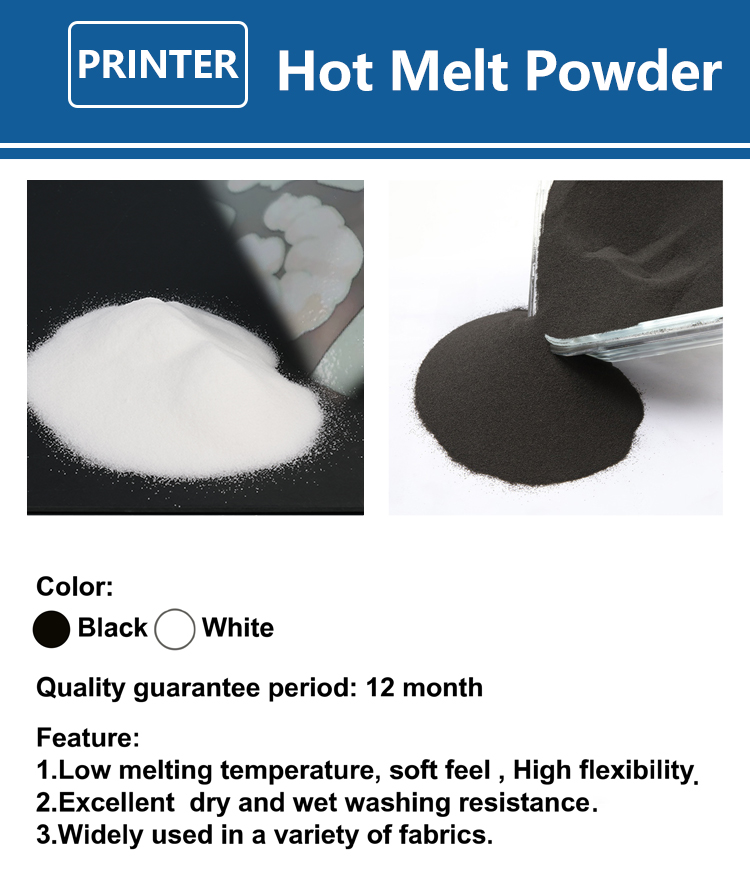 Poudre DTF fine 1 kg (1000g) p - Commercial Fabric Printing Machine avis et prix